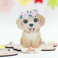 received_647008294500211.png
