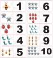 435034897_1684817908992049_5691976517115239566_n.jpg