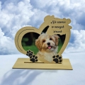 Messenger_creation_2343A360-8C16-4F39-8A52-C89607B4BACB.png