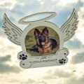 Messenger_creation_9E7612ED-819F-4547-A637-643C0ADBB5FB.png