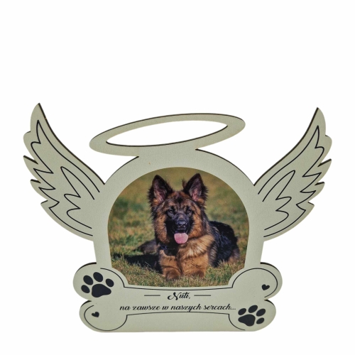 Messenger_creation_D98338E3-3B45-4EE4-A09D-D6E6AFA488D6.png