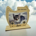 Messenger_creation_5EFC9998-0741-4894-9788-D3379DAE90CE.png
