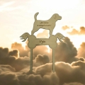 Messenger_creation_7AE7CC3D-D433-4D43-A574-20FBBB7A5C02.png