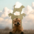 Messenger_creation_AE7368D9-F636-450B-A7F1-22A220B53262.png