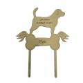 Messenger_creation_DF1CE114-1783-4F70-9AAE-B3BB6401F3FF.png