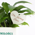 received_588551010598910.png