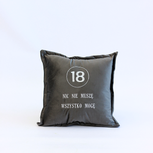 Poduszka haftowana/ haft/  Nic nie muszę mogę wszystko - prezent/ 18 